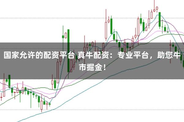 国家允许的配资平台 真牛配资：专业平台，助您牛市掘金！
