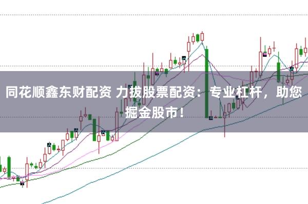 同花顺鑫东财配资 力拔股票配资：专业杠杆，助您掘金股市！