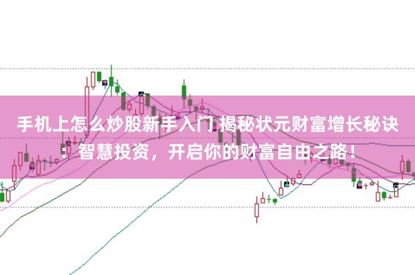 手机上怎么炒股新手入门 揭秘状元财富增长秘诀:智慧投资,开启你的财富自由之路!