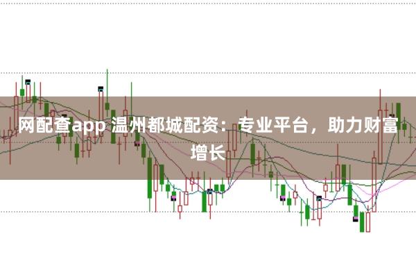 网配查app 温州都城配资：专业平台，助力财富增长