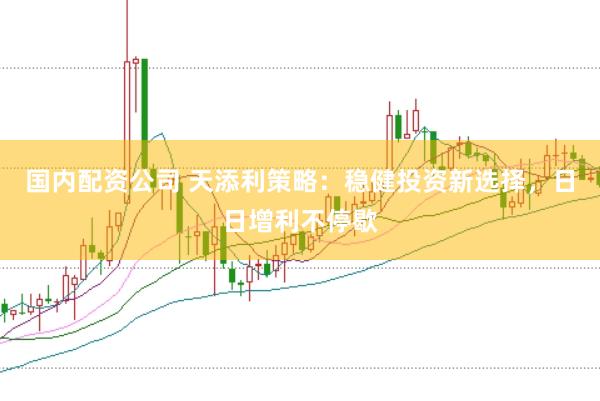 国内配资公司 天添利策略:稳健投资新选择,日日增利不停歇