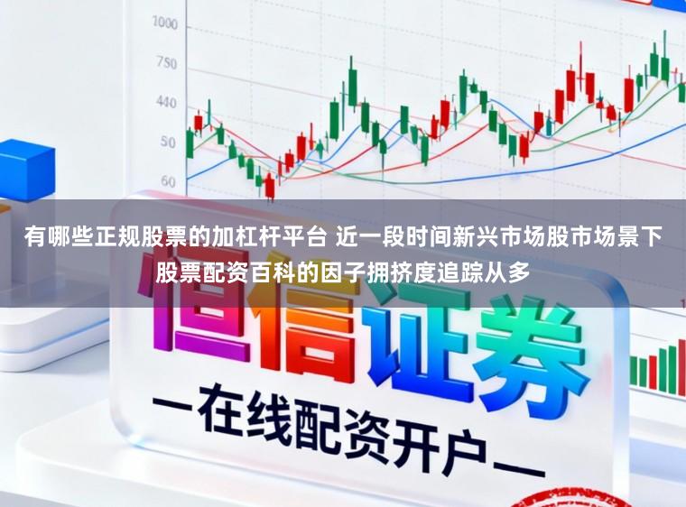 有哪些正规股票的加杠杆平台 近一段时间新兴市场股市场景下股票配资百科的因子拥挤度追踪从多