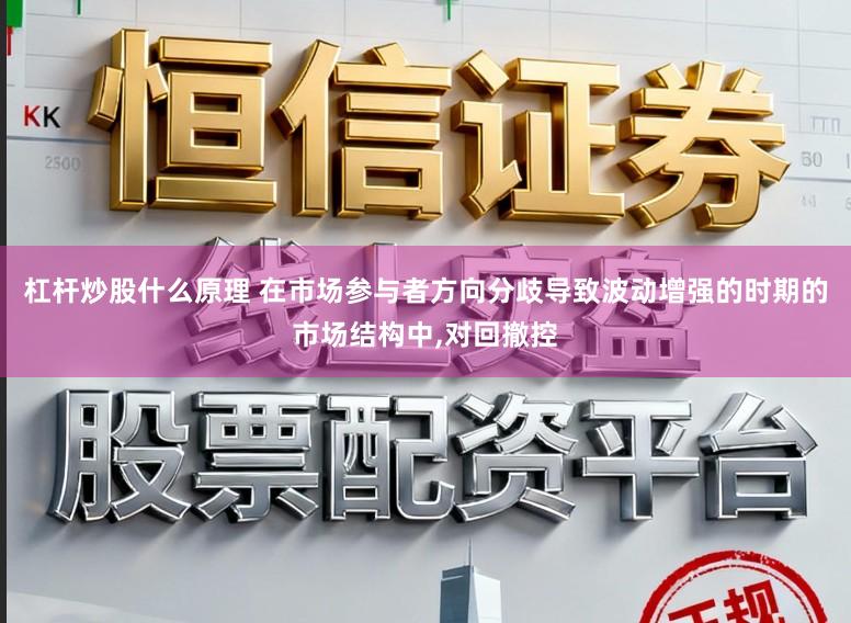 杠杆炒股什么原理 在市场参与者方向分歧导致波动增强的时期的市场结构中，对回撤控