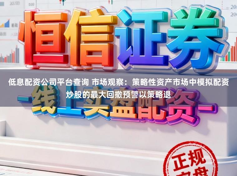 低息配资公司平台查询 市场观察：策略性资产市场中模拟配资炒股的最大回撤预警以策略退